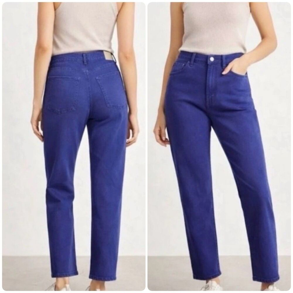 Everlane The Way High Organic Cotton Straight Leg Jean in Archroma Deep Lapis 33